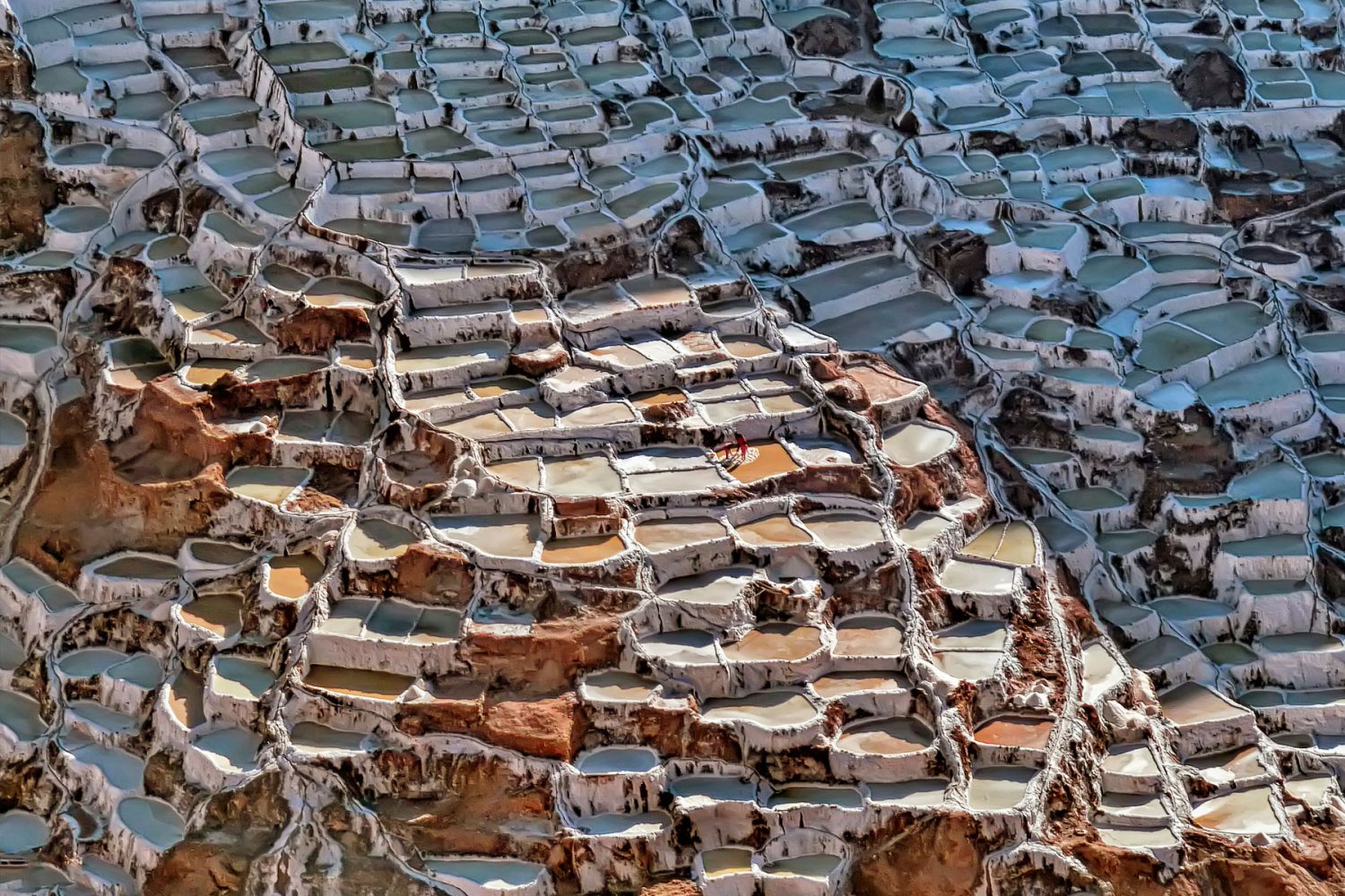 Maras